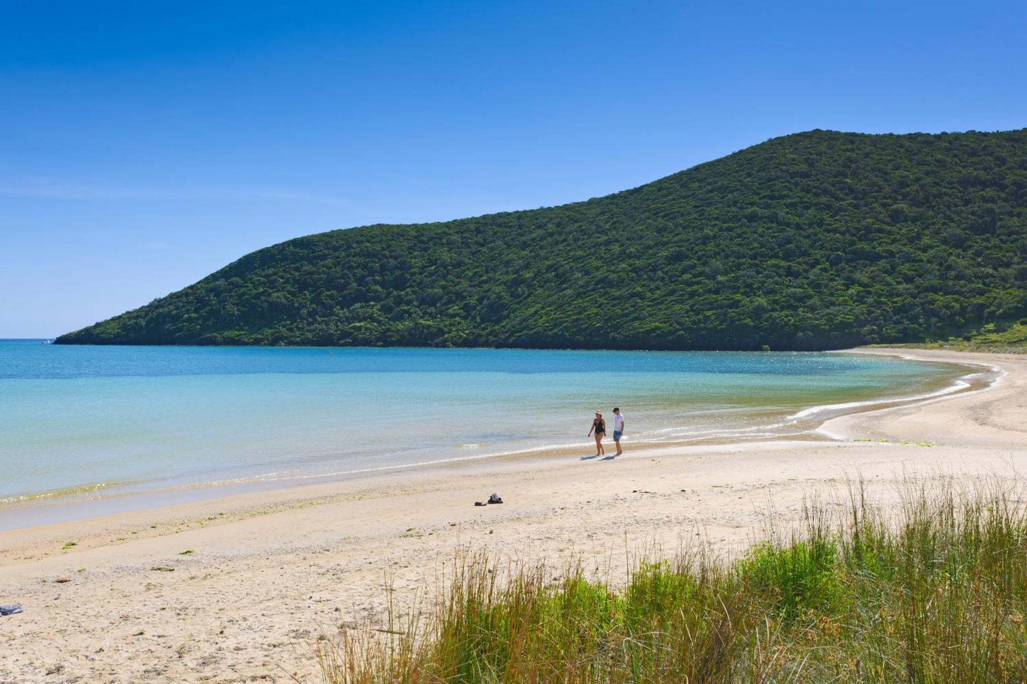 阿拉吉拉度假山林小屋 Lord Howe Island 外观 照片