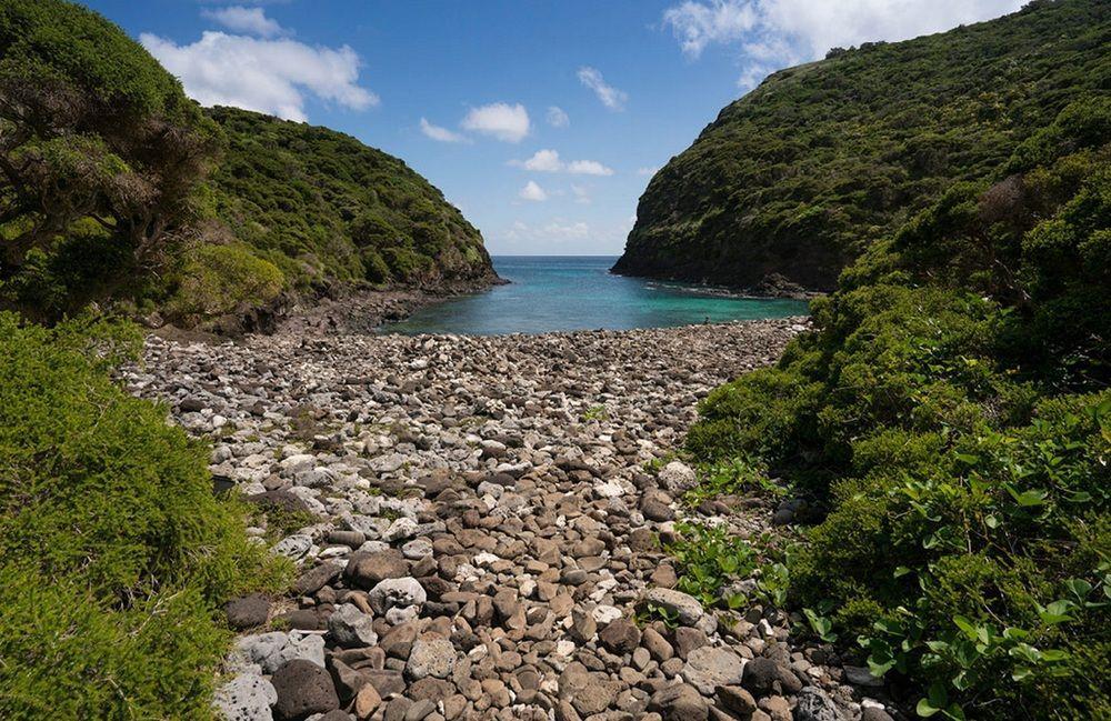 阿拉吉拉度假山林小屋 Lord Howe Island 外观 照片